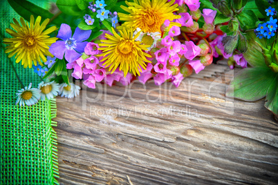 Frühlingsblumen auf einem holzbrett