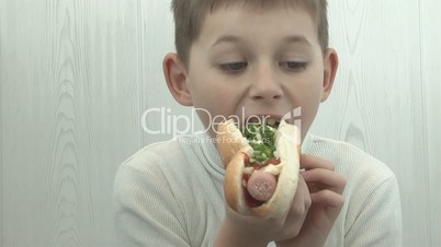 Hungry boy with a tasty hot dog.