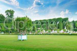 lawn and hedge in a summer park