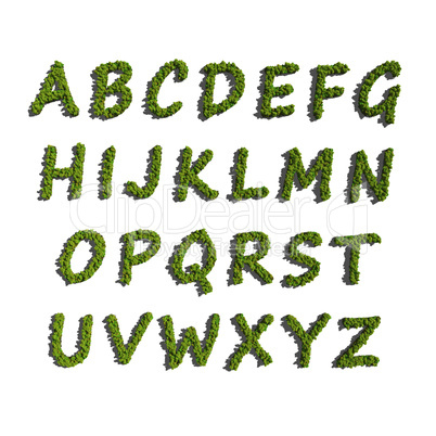 abc alphabet create by tree white background