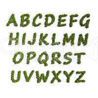 abc alphabet create by tree white background