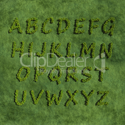 abc alphabet create by tree with grass background