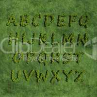 abc alphabet create by tree with grass background