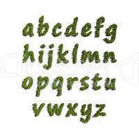 abc alphabet small letter create by tree white background