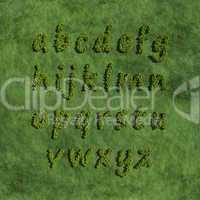 abc alphabet small letter create by tree with grass background