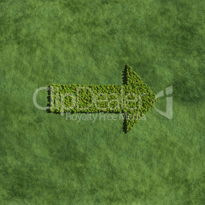 arrow create by tree with grass background