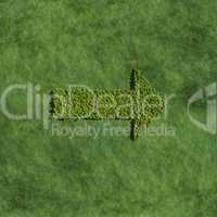 arrow create by tree with grass background