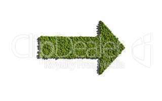 arrow create by tree white background