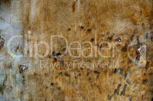 Dark Wood Texture Background