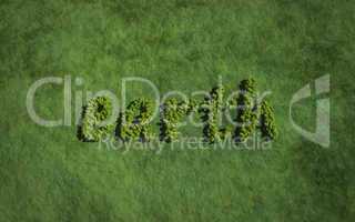 earth create by tree with grass background