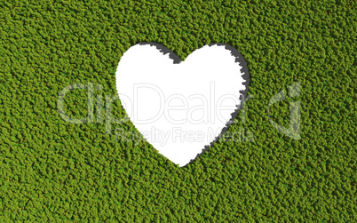 empty heart create by tree with white background