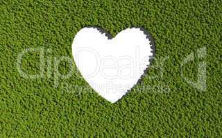 empty heart create by tree with white background