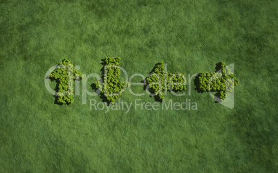 four direction arrow create by tree with grass background