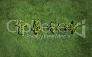 four direction arrow create by tree with grass background