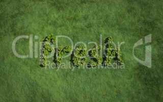 fresh create by tree with grass background