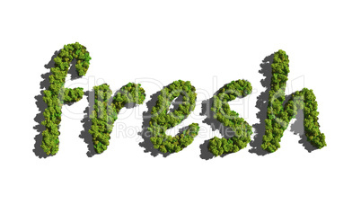 fresh create by tree with white background