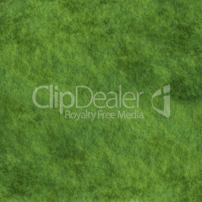 grass with full green texture for peaceful concept