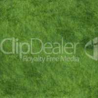 grass with full green texture for peaceful concept
