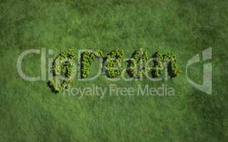 green create by tree with grass background