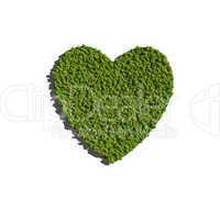 heart create by tree with white background