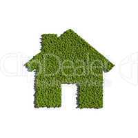 home and house create by tree with white background