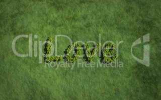 love create by tree with grass background