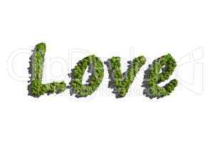 love create by tree with white background