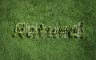 Natural 2 create by tree with grass background