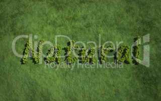 Natural 2 create by tree with grass background