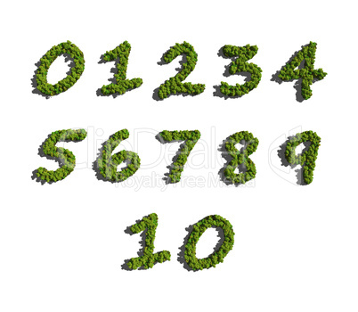 numbers create by tree white background