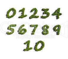 numbers create by tree white background