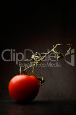 Tomato