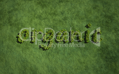 organic create by tree with grass background