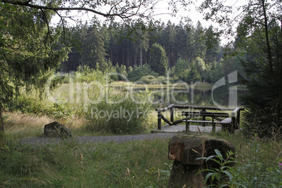 Marienteich, Oberharz