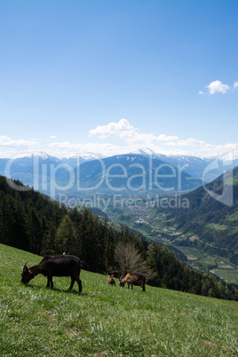 Passeiertal, Südtirol, Italien