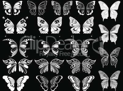 Set of twenty white butterflies over black