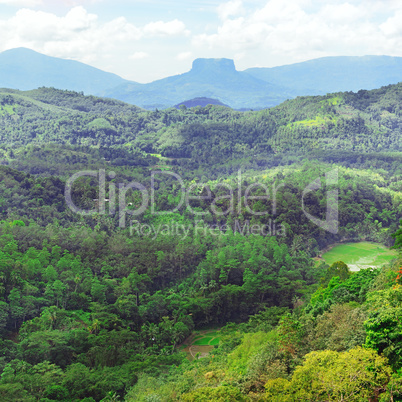 Mountains on island of Sri Lanka