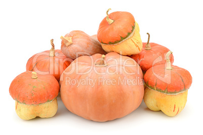 collection pumpkin