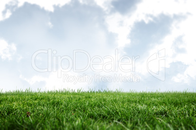 A green Field and sky