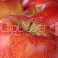 Roter Apfel Obst Frucht