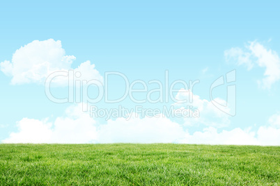 A green Field and sky