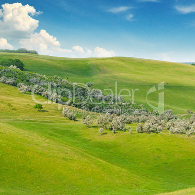 green field and blue sky with light clouds