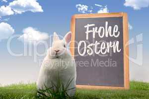 Composite image of easter bunny