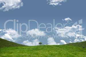 A green Field and sky