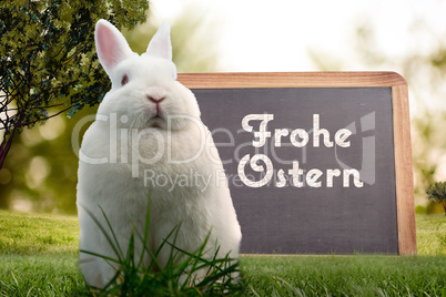 Composite image of easter bunny