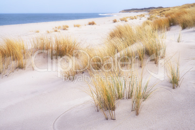 Nordsee auf der Insel Sylt