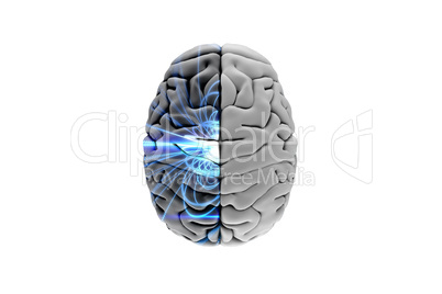 Composite image of brain