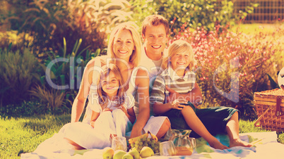 Cute family enjoying a picnic