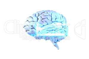Composite image of brain