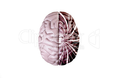 Composite image of brain